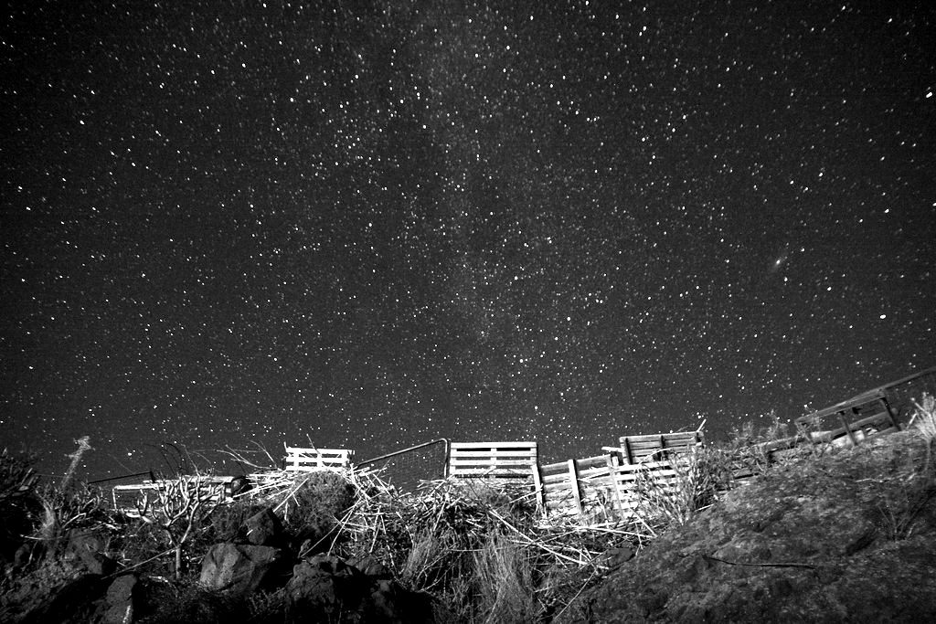 A night sky full of stars above a rural field