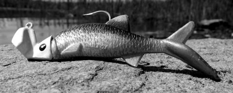 A blue fishing lure shaped like a fish, resting on a rock